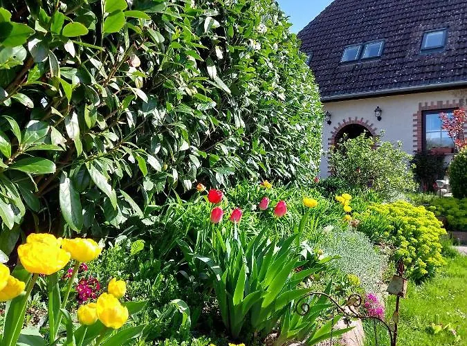 Klosterblick