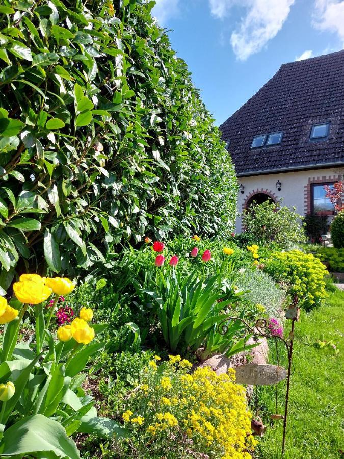 Klosterblick Apartment Bad Doberan