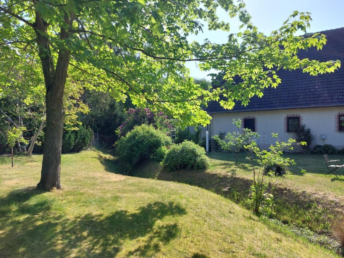 Klosterblick Apartment